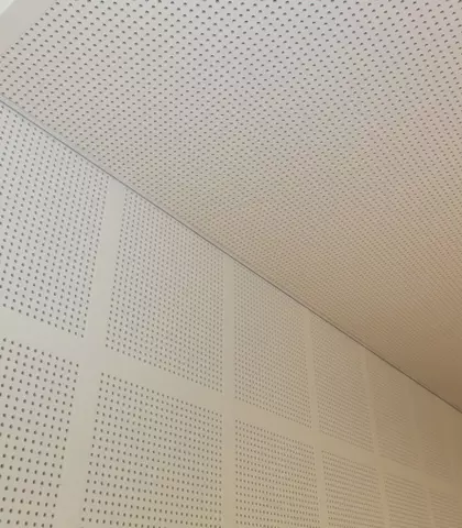 KU Graz Aufstockung Lochdecke